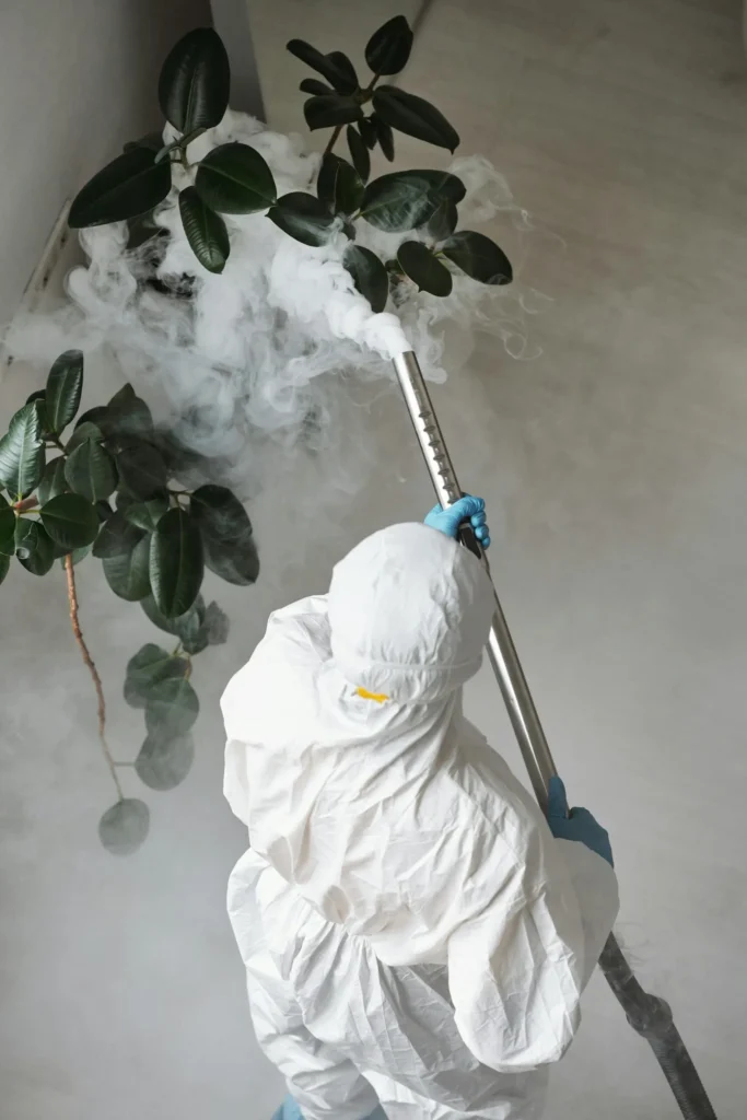 Trusted Pest Control - Coram Pest Control Pros | Coram, NY