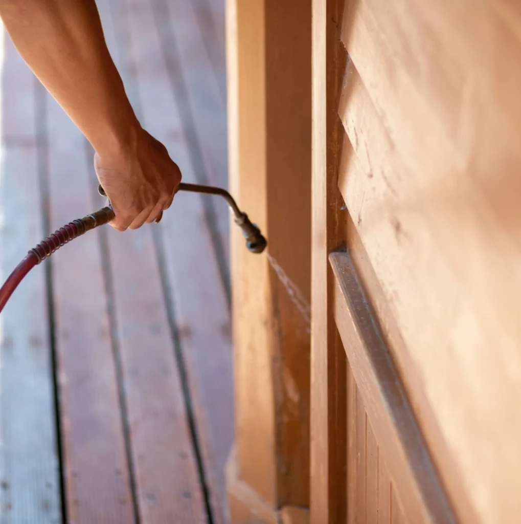 Trusted Pest Control - Coram Pest Control Pros | Coram, NY
